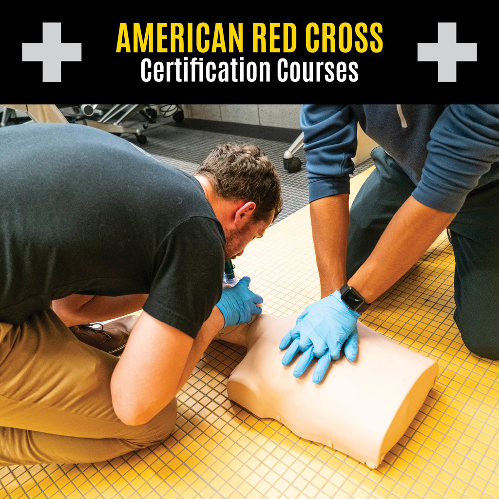 American Red Cross: Lifeguard Instructor Course promotional image