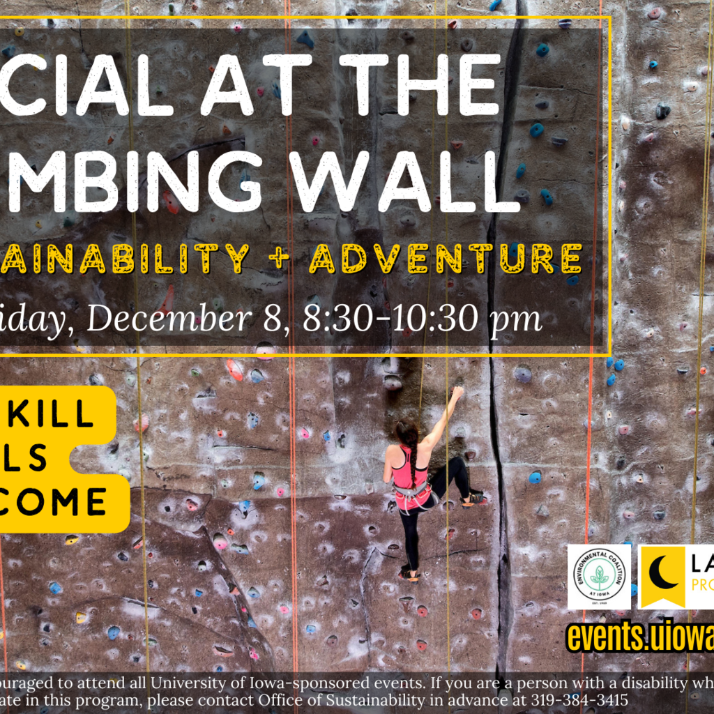 Climbing Wall  Recreational Services - The University of Iowa