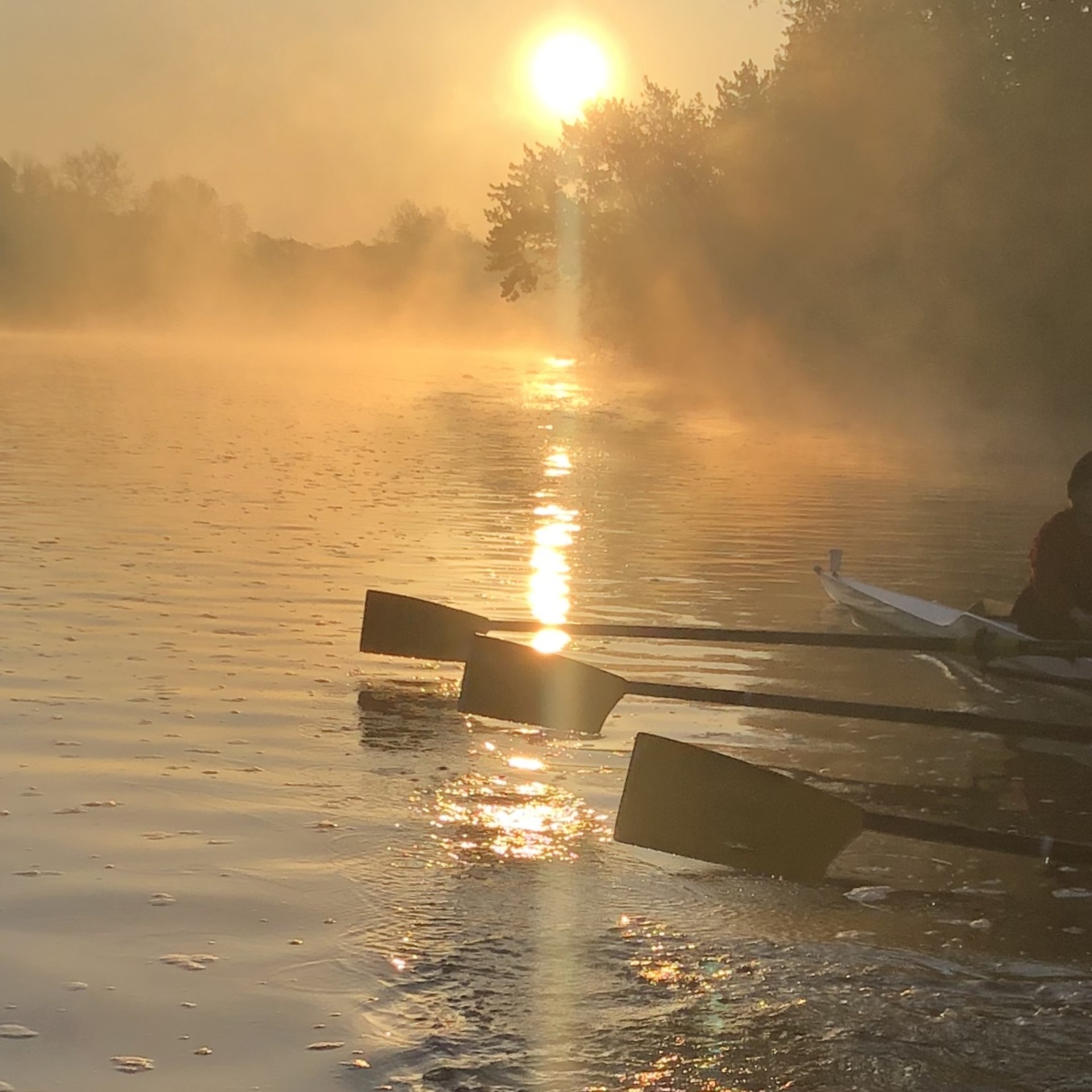 Uiowa Rowing Rowing | Recreational Services - Division of Student Life | The ...