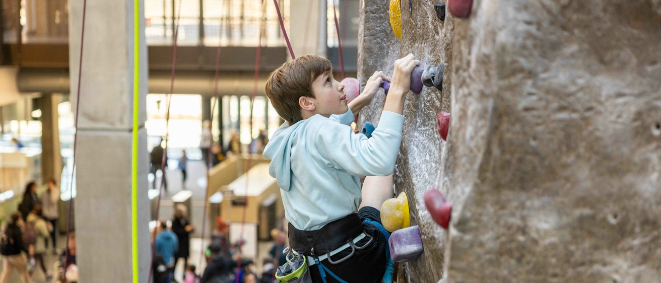 A climber on the wall, underneath there are many others who are participating in a climbing competition and are watching the wall.